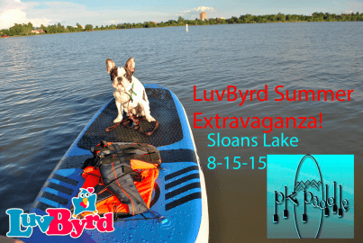 LUVBYRD SUMMER EXTRAVAGANZA!